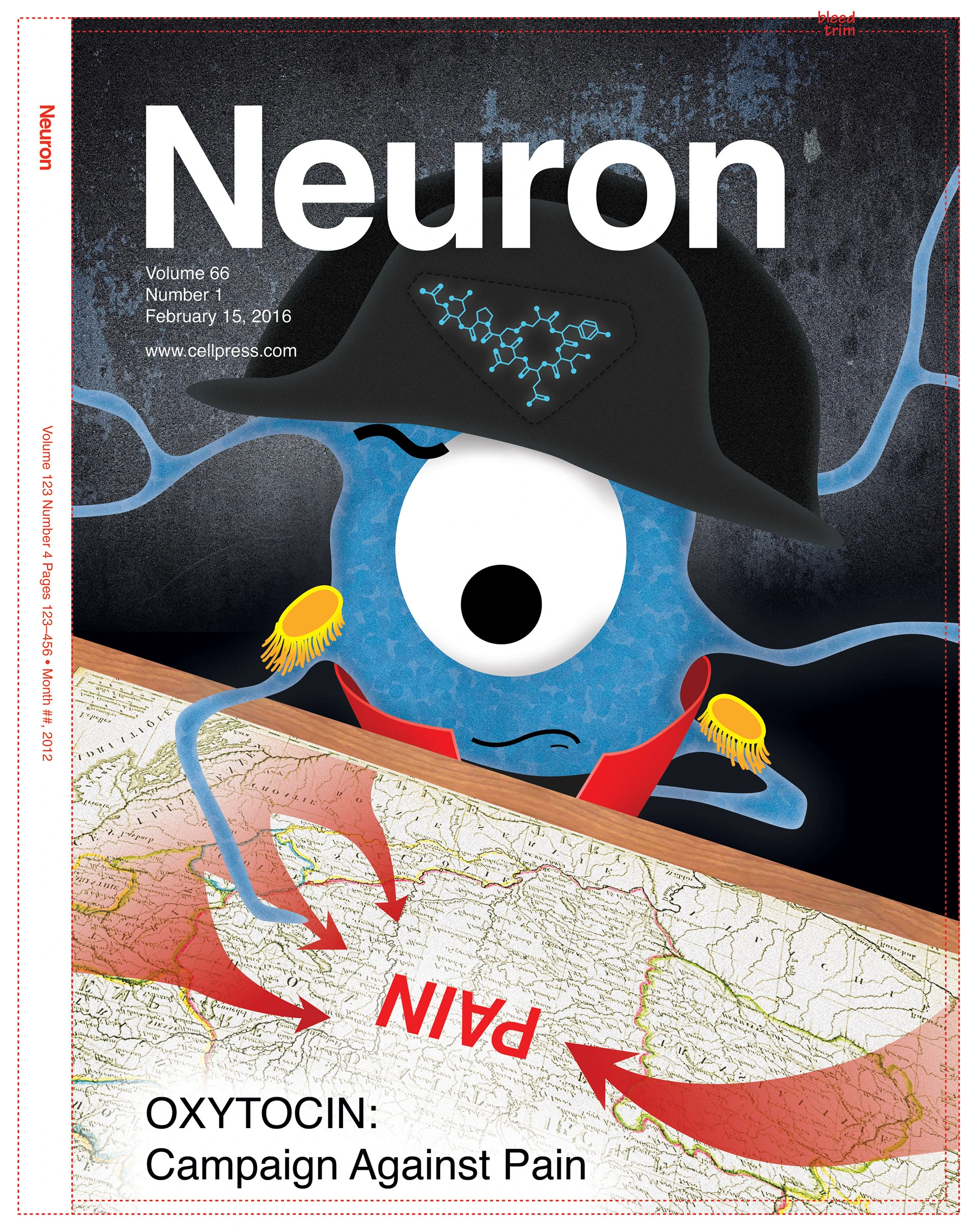 Neuron cover: a navigator neuron charting a future route