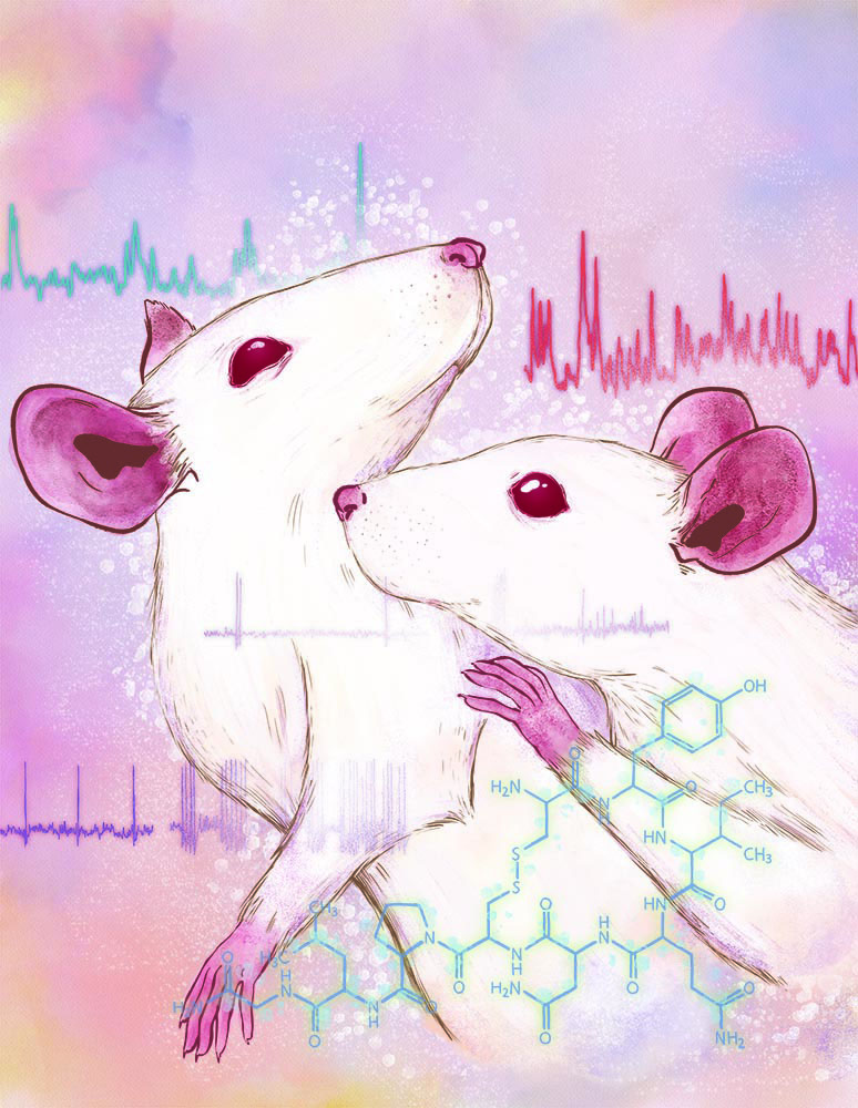 Nature Neuroscience 封面艺术：两只小鼠、神经活动波形与催产素分子结构