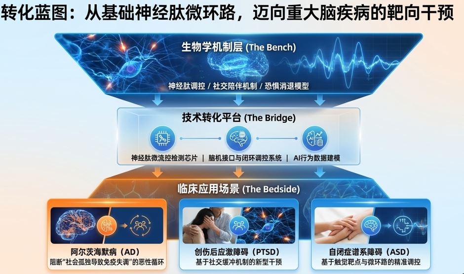 Bench to Bridge to Bedside translational blueprint